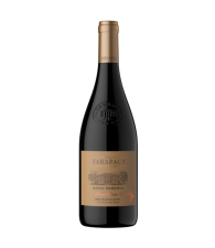 Tarapaca Gran Reserva Red Blend 2