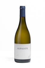 Alfaiate - Pego de Moura