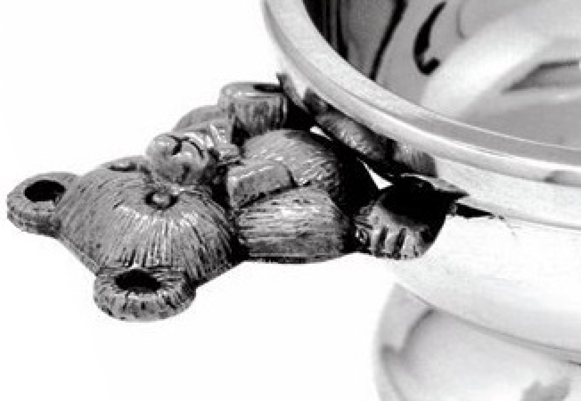 Quaich Teddy Handles