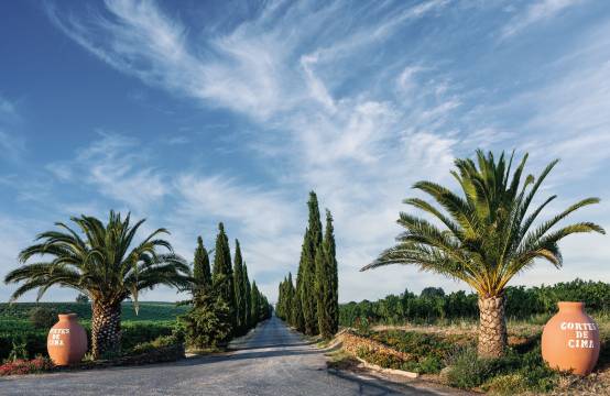 De entree naar het domein